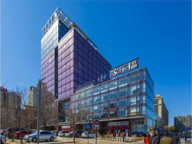 西藏学校仿真绿植无异味